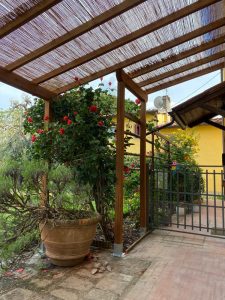 Pergole In Legno Addossate E Portanti 25