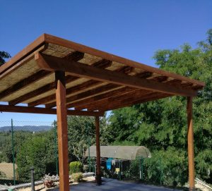 Img 20180706 Wa0003 2